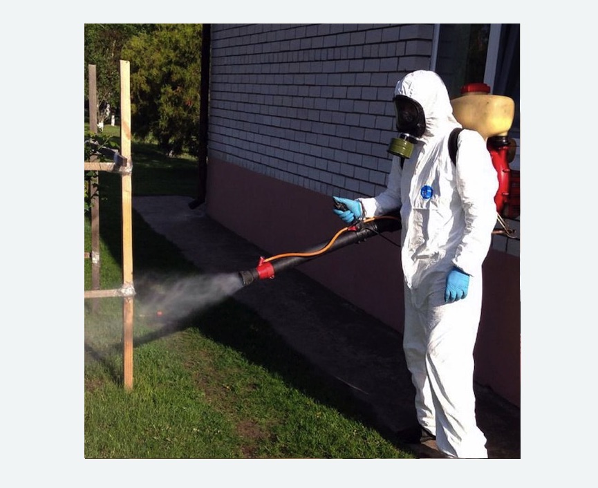 травля клещей на участке в Новошахтинске