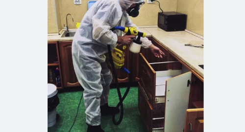 Уничтожение насекомых в квартире. Новошахтинск