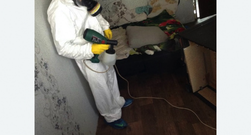 Обработка квартир от насекомых в Новошахтинске