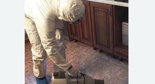 Уничтожение тараканов в квартире. Новошахтинск
