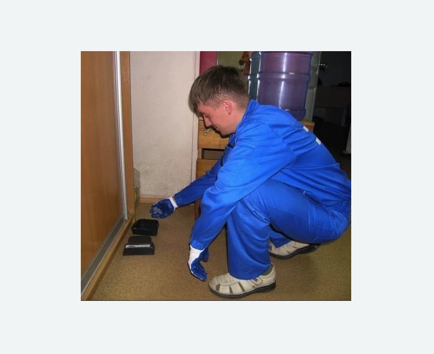 Дератизация крыс Дератизация крыс в Новошахтинске