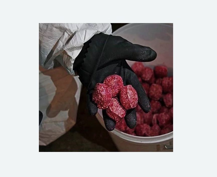 Обработка от крыс Обработка от крыс в Новошахтинске