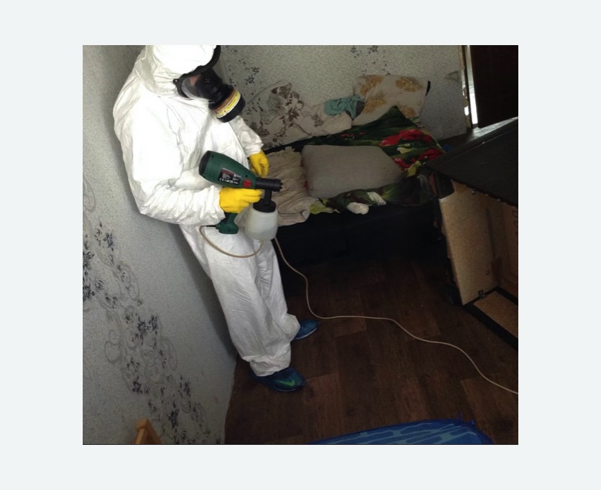 Обработка от насекомых в Новошахтинске Обработка квартиры от насекомых