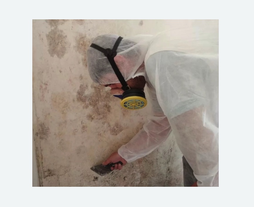 Обработка стен от плесени в Новошахтинске