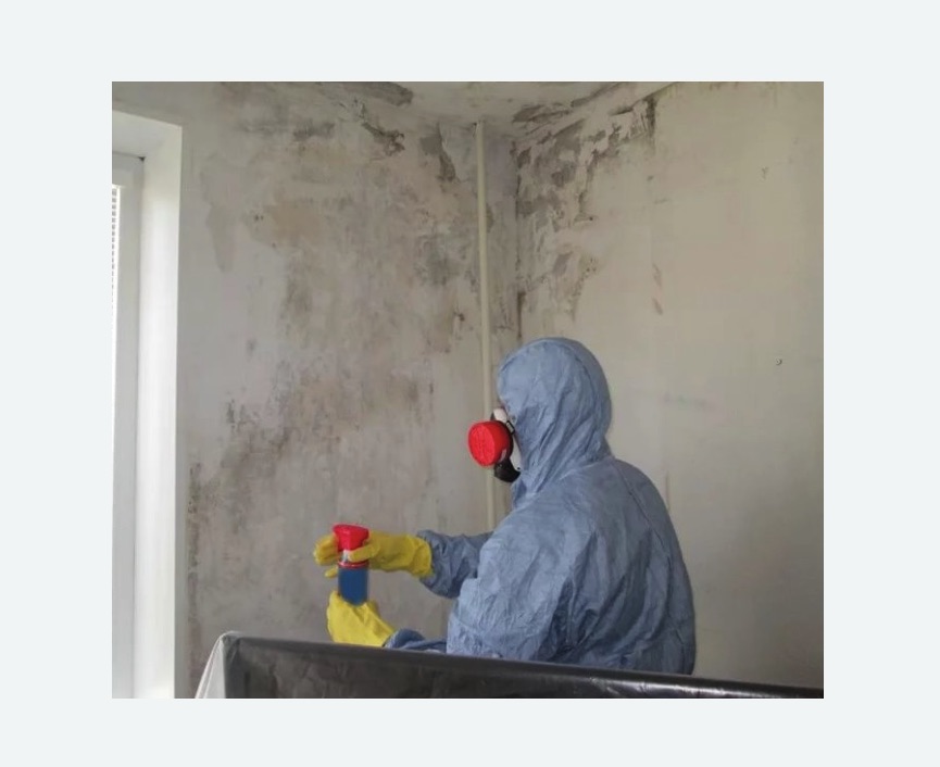 Удаление плесени в квартире в Новошахтинске