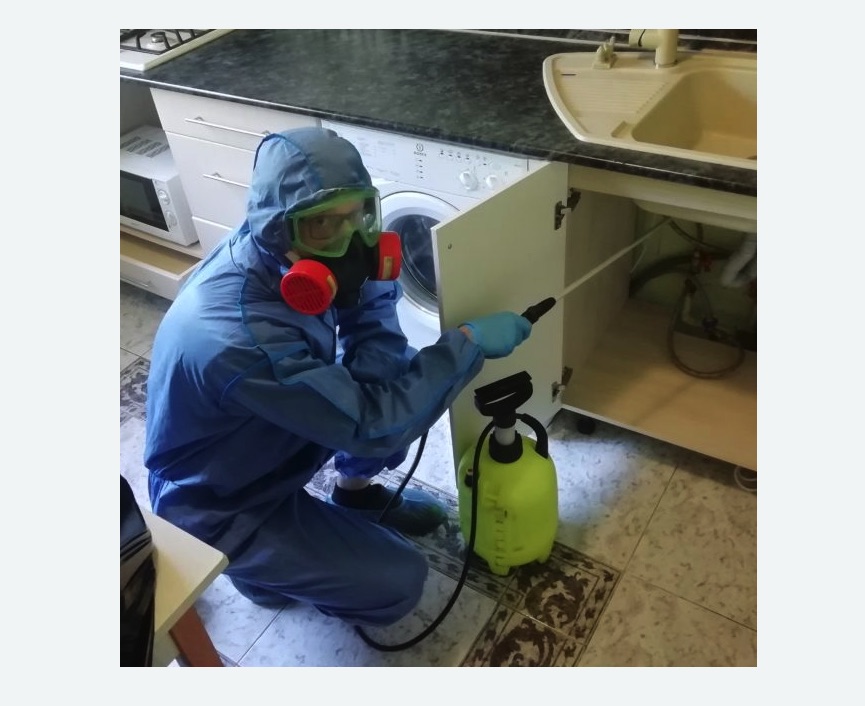 обработка от муравьев в квартире в Новошахтинске