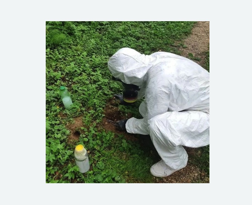 уничтожение кротов на участке в Новошахтинске