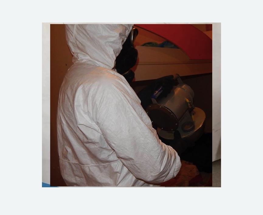 Дезинфекция от муравьев в Новошахтинске